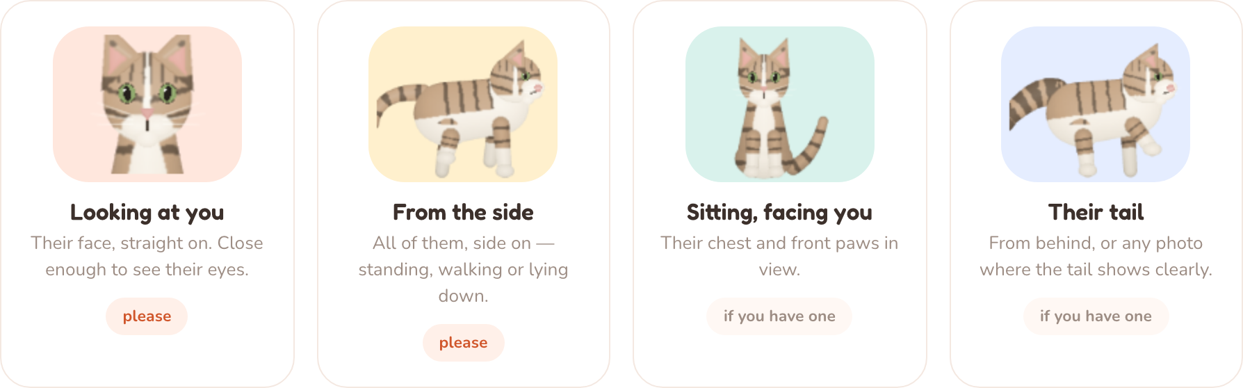 Four photo slots: looking at you, from the side, sitting facing you, and their tail — each showing a drawn example cat.